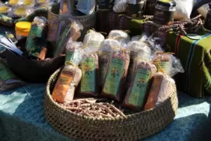 Impulsan proyecto del fruto de algarrobo como alimento humano y forrajes