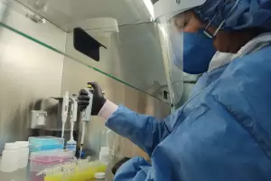 Variante Delta: ahora Catamarca podr detectarla desde la otra semana