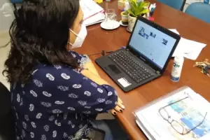 Salud particip de la reunin virtual del equipo nacional de REDES