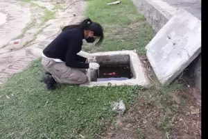 Dengue: cronograma de acciones en Capital