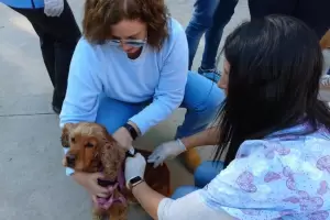 6 de julio: Da Mundial de las Zoonosis