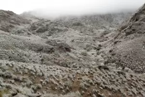 En Beln cay nieve y el suelo se ti de blanco