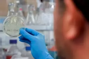 Descubrieron el taln de Aquiles del coronavirus para evitar que se multiplique en el cuerpo