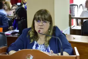 Polmica por el pedido de aumento en la tarifa de la electricidad