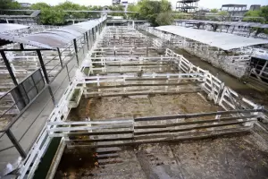 Arranc el paro del campo por restricciones a las exportaciones de carne