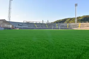 Estadio Bicentenario: crece el csped en todo el terreno