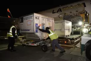 Arribaron al pas ms de dos millones de dosis de vacuna Moderna