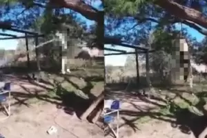 Indignante: en Beln golpearon hasta matar a un animalito y fueron detenidos