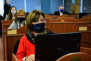 Piden establecer la semana de concientizacin por la Violencia Obsttrica