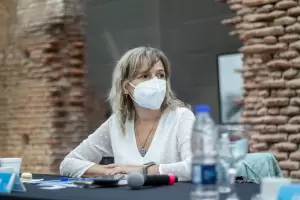 "En los ltimos 14 das tuvimos 1.500 casos cada 100 mil habitantes", asegur Palladino