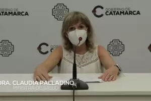 Palladino: "Esperamos que esta meseta empiece a descender"