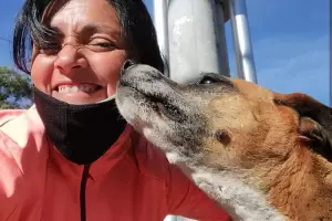 Su due�a lo hab�a extraviado en Los Angeles y reencontr� a su perro en Ec Sapem