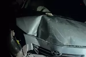 Conductor impact con el frente de una vivienda y se dio a la fuga