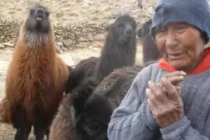 Lorenza Maman: la ltima diaguita, se descompens y es trasladada de su hogar a 4.000 metros de altura en Fiambal