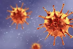 Detectan una mutacin dentro de la variante Delta que explica su contagiosidad