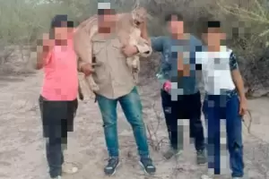 Andalgal: denunciaron a un hombre, acusado de haber matado a un puma