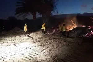 Bomberos trabajaron para sofocar una quema de desmonte