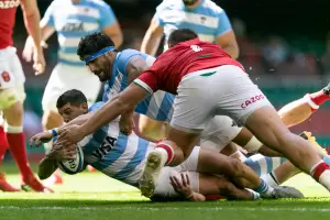 Los Pumas vencieron a Gales y cerraron la gira europea de la mejor manera