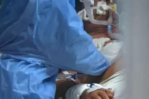 Reportaron 291 muertes y 14.115 nuevos casos