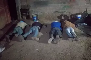 Tras un allanamiento, detuvieron a cuatreros en plena faena