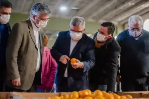 Inauguraron una planta de procesamiento de citrus