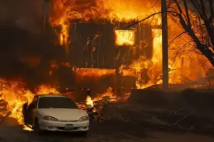 El mundo en llamas: los incendios arrasan en distintos pases y ciudades