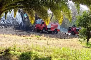 Sofocaron un incendio de pastizales en Valle Viejo