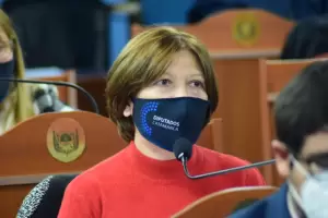 Adriana Daz: Juntos por el Cambio siempre defendi a los intereses corporativistas