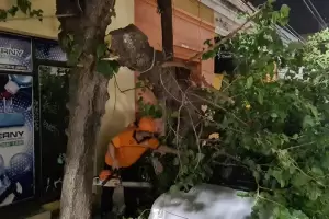 Defensa Civil reconoci un error de interpretacin tras no anunciar el alerta del zonda que se registr anoche