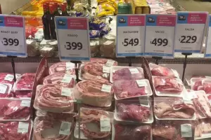Ingresos en baja: un trabajador con sueldo promedio puede comprar los mismos kilos de carne que en 2002
