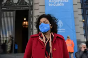 Vizzotti: "hay un aumento de casos de gripe" y alert sobre el origen de la hepatitis