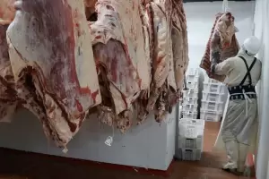 Desde el campo advierten que el precio de la carne volver a subir