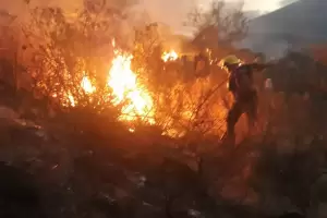Fuego en la Ruta n 4: reactivaron el incendio y ya se consumieron cerca de 100 hectreas