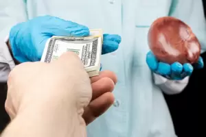 El juego del calamar en China: trfico de rganos