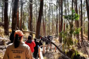 Bolivia inaugur� la ruta del ox�geno para pacientes recuperados de coronavirus