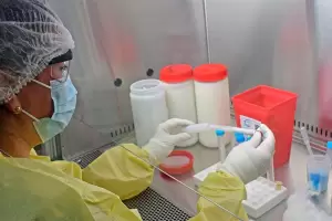 Coronavirus: AY.4.2, la nueva descendiente de la variante Delta que preocupa a los cientficos