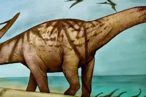 Ro Negro: descubren una nueva especie de dinosaurio de ms de 70 millones de aos