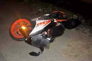 Motociclista embisti un animal equino