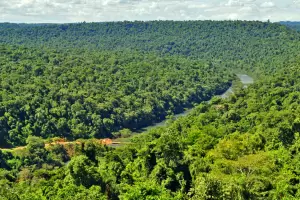 Misiones reclama a Naci�n una compensaci�n de 227.000 millones de pesos por el cuidado de la selva