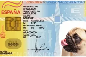 Espaa lanzar un DNI obligatorio para mascotas en el 2022