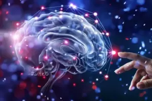 Da Mundial del Cerebro: la importancia de su cuidado preventivo