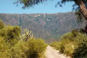 Rescataron a un ciclista que se haba perdido en el Camino viejo a El Rodeo