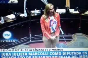 Julieta Marcolli jur como diputada nacional en reemplazo de Brizuela del Moral