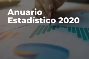 Educaci�n present� el Anuario Estad�stico 2020
