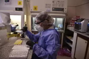 Variante Delta: sube su circulacin en Crdoba, pero todava no es dominante