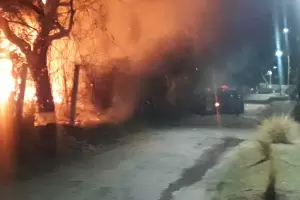 Incendio de pastizales y rboles en La Carrera