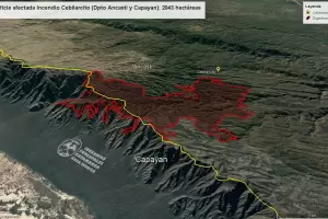 Los ltimos incendios afectaron ms de 5 mil hectreas y a una gran variedad de flora y fauna