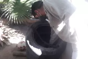 Acciones contra el dengue: sigue el descacharrado