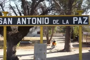 Motociclista choc con animales sueltos en la ruta N 157