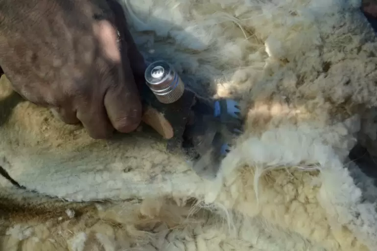 e664eac3-f6bd-40dd-a96a-443cdbc60044